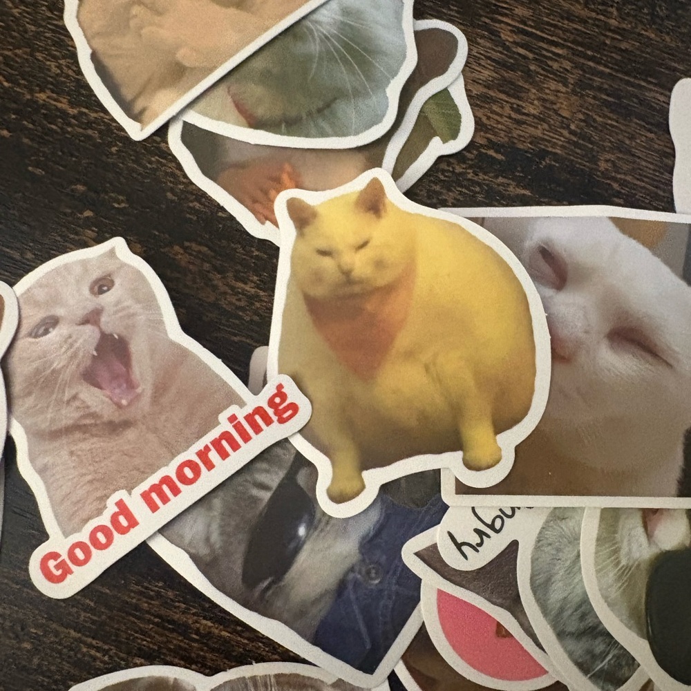 Cat Sticker Pack - Multicolor - Picture 8 of 9
